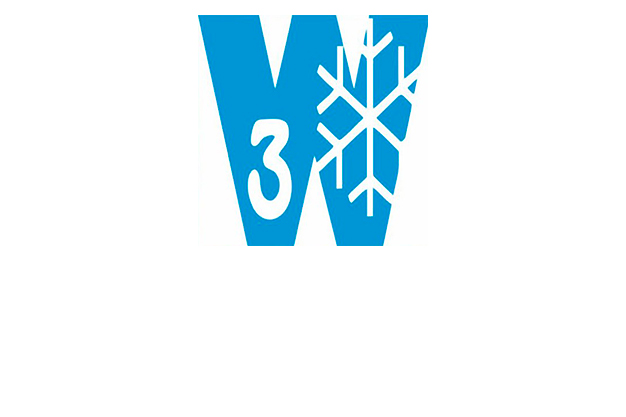 3 W SRL